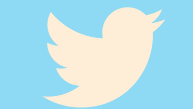 twitter, social media, icon, social, internet, media, network, twitter icon, twitter bird, social icons, social media icons vector, bird, social media buttons, collection, flat, button, set, nature, communication, sign
