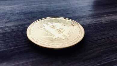 bitcoin, cryptocurrencies, cryptocurrency, btc, currency, future, money, coin, finance, payment, krypto, business, speculation, gold