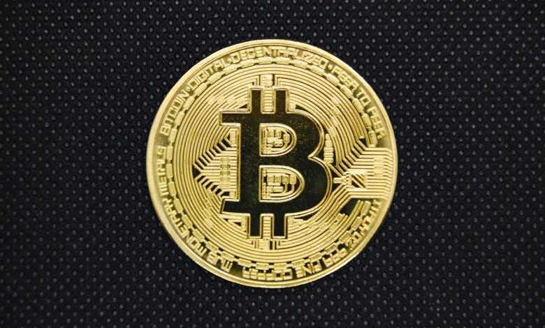 bitcoin, blockchain, currency, coin, gold, bitcoin business, bitcoin icon, safety, bitcoin wallet, bank, business, cash, bit, trade, conceptual, exchange, cryptocurrency, bitcoin, bitcoin, bitcoin, bitcoin, bitcoin