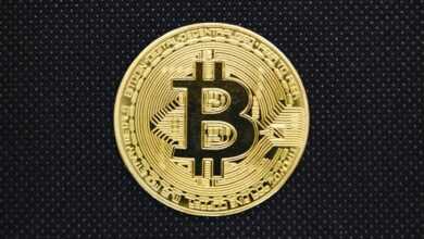 bitcoin, blockchain, currency, coin, gold, bitcoin business, bitcoin icon, safety, bitcoin wallet, bank, business, cash, bit, trade, conceptual, exchange, cryptocurrency, bitcoin, bitcoin, bitcoin, bitcoin, bitcoin