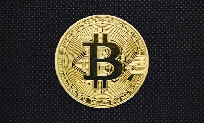 bitcoin, blockchain, currency, coin, gold, bitcoin business, bitcoin icon, safety, bitcoin wallet, bank, business, cash, bit, trade, conceptual, exchange, cryptocurrency, bitcoin, bitcoin, bitcoin, bitcoin, bitcoin