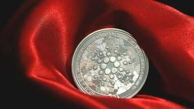 a close up of a coin on a red cloth