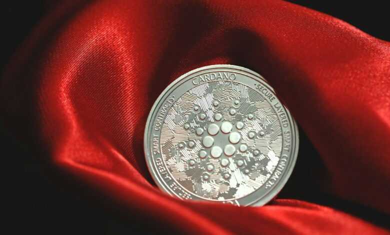 a close up of a coin on a red cloth