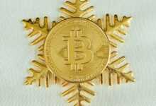 a bitcoin snowflake with a bitcoin on it