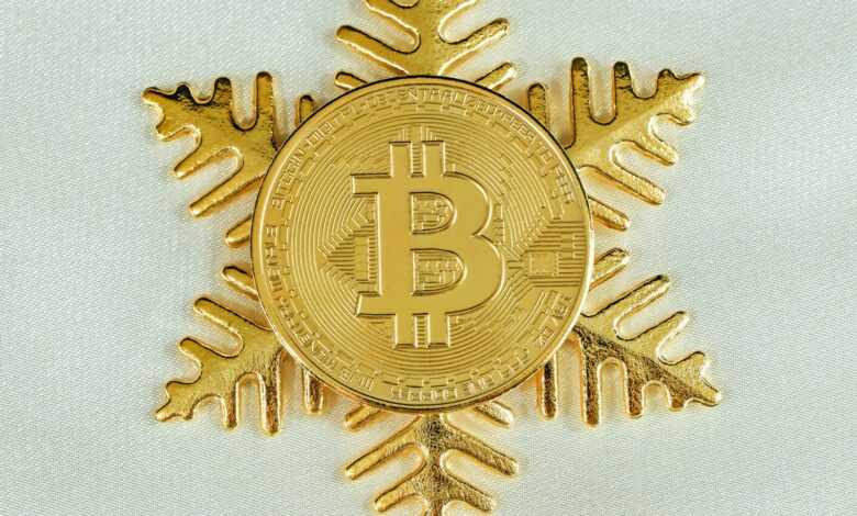 a bitcoin snowflake with a bitcoin on it